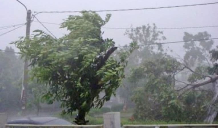 Furtuna a făcut ravagii în Iași și Neamț. Copaci căzuţi pe şosele, localităţi fără curent electric şi circulaţie rutieră îngreunată