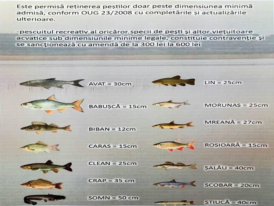 Acțiuni a jandarmilor pe râul Prut și acumulările Bucecea și Rogojești. Amenzi aplicate în lipsa unui permis de pescuit valabil
