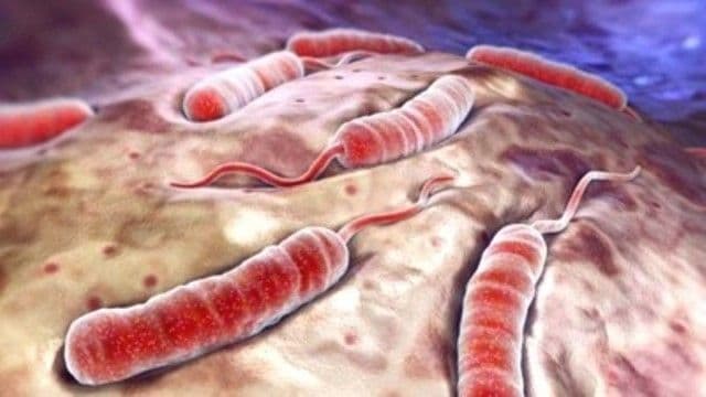 Alertă maximă în România, chiar acum: „Suntem în gardă, sperăm să nu treacă granița”