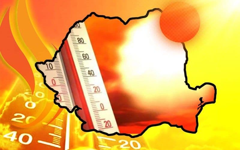PRIMĂRIA MUNICIPIULUI DOROHOI atenționează!