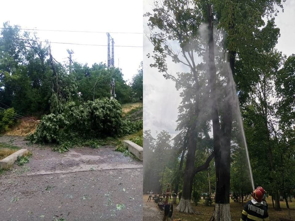Copac lovit de trăsnet într-un parc din Botoșani