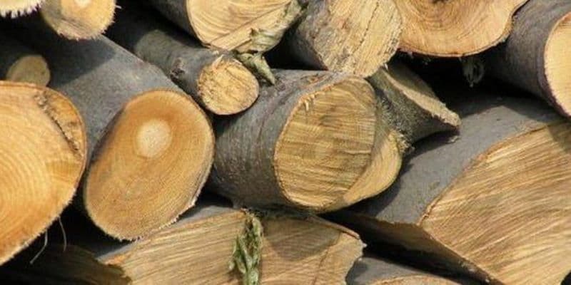 35 de metri cubi de material lemnos confiscat