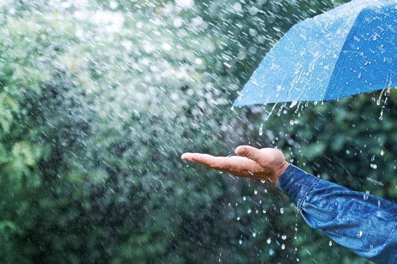 Meteorologii au emis un COD GALBEN de ploi, descărcări electrice și vânt pentru județul Botoșani