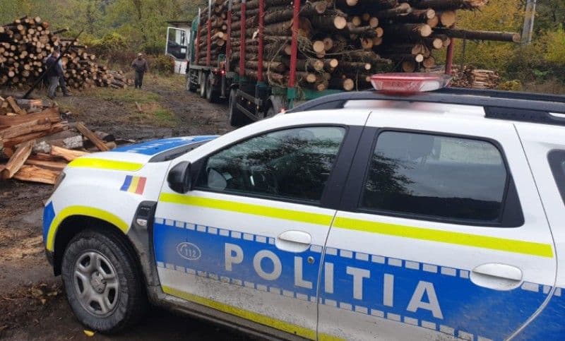 Transporturi ilegale de lemne depistate de polițiștii botoșăneni