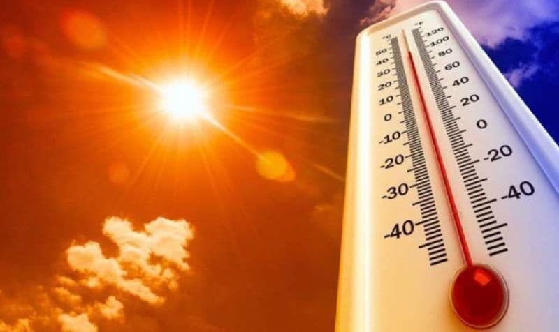 Mobilizare generală împotriva caniculei. Noile măsuri: Adaptarea programului de lucru, monitorizarea zonelor cu risc de incendiu