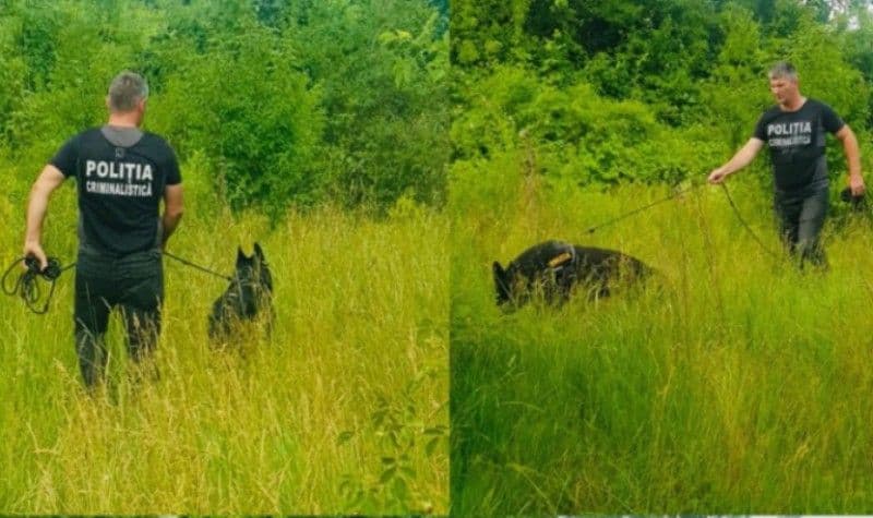 Bătrân de 85 de ani dat dispărut, căutat de 20 voluntari, 18 polițiști și un câine de urmă