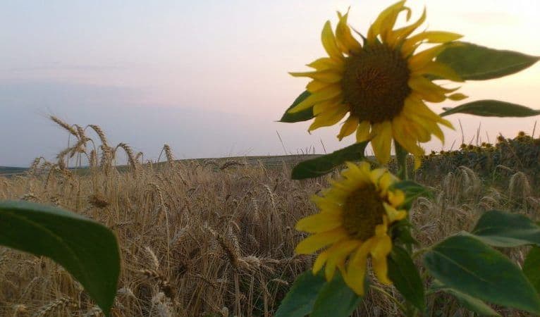 Prognoza meteo pentru luna august! Meteorologii au anunțat ce ne așteaptă în perioada următoare