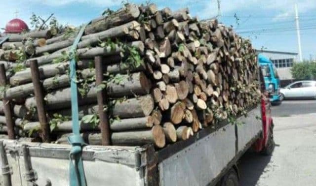 Amendă și material lemnos confiscat în urma unui control de rutină