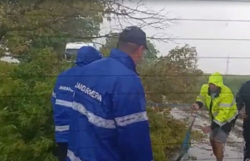 Copac rupt de furtună care bloca un drum, îndepărtat de jandarmii care se întorceau dintr-o misiune