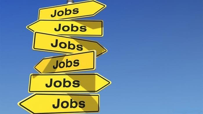 AJOFM Botoșani anunță peste 250 de locuri de muncă vacante în Uniunea Europeană