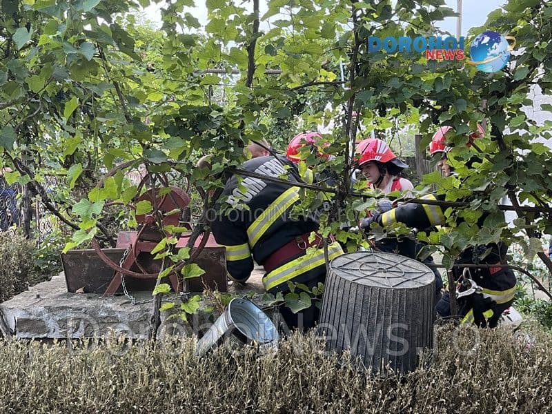 Femeie din Dorohoi găsită decedată în fântâna din curtea casei în care locuia - FOTO