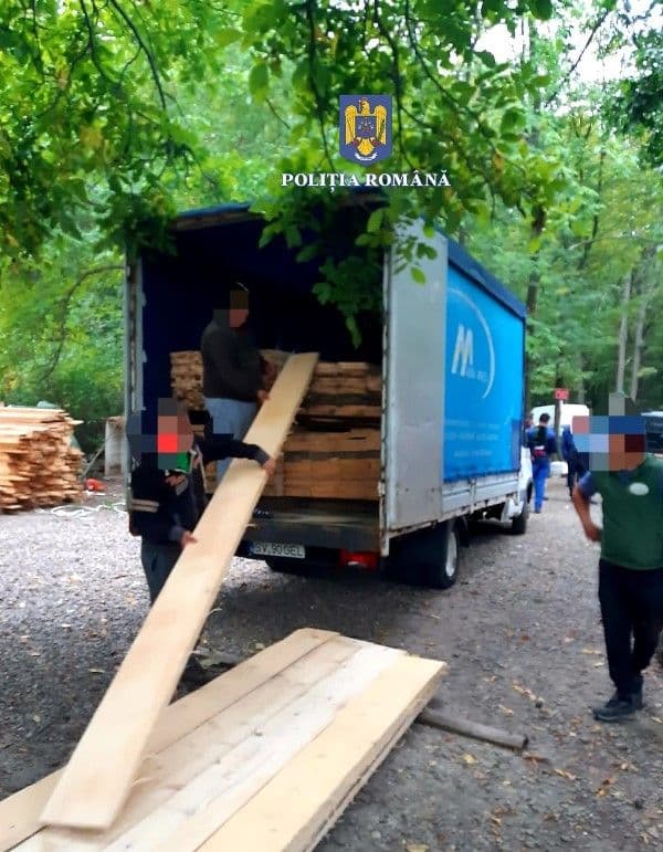 Acțiune a polițiștilor botoșăneni în domeniul silvic: 23 de sancțiuni în valoare de 7.500 de lei - FOTO