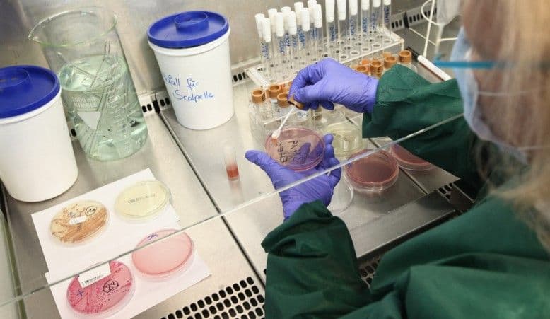 De ce rezistă bacteriile care provoacă infecții în spitale la antibiotice