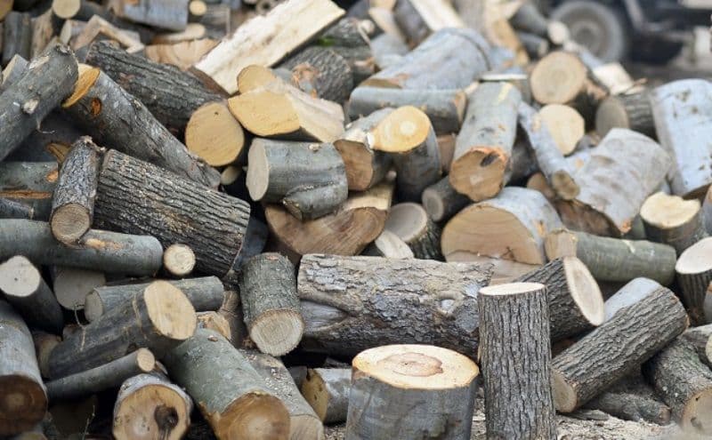 Guvernul a decis plafonarea la 500 de lei pentru un metru cub de lemn de foc și interzicerea exportului