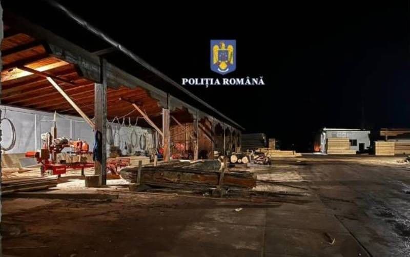 Percheziții uriașe în toată România! Poliția Română s-a mobilizat în două dosare de spălarea banilor, tăiere fără drept de arbori şi delapidare