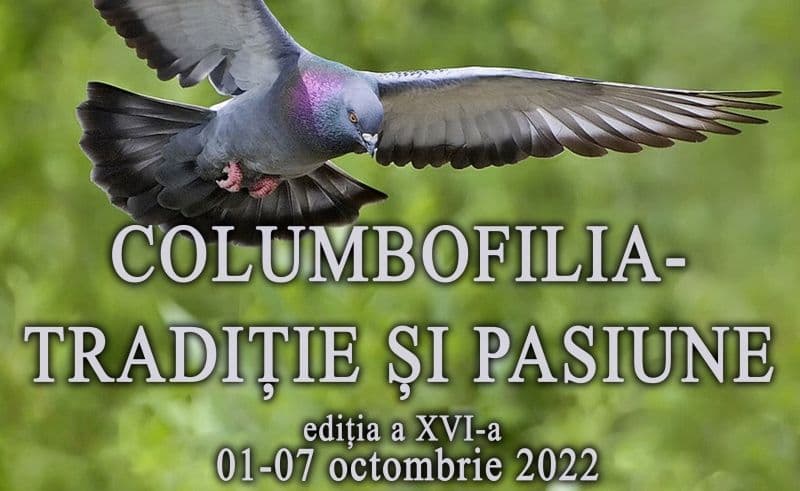 DOROHOI: Expoziția temporară „Columbofilia – tradiție și pasiune”, ediția a XVI-a