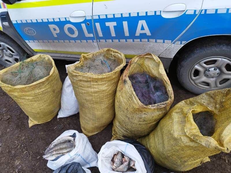 Botoșani: Trei percheziţii domiciliare într-un dosar de braconaj piscicol - FOTO