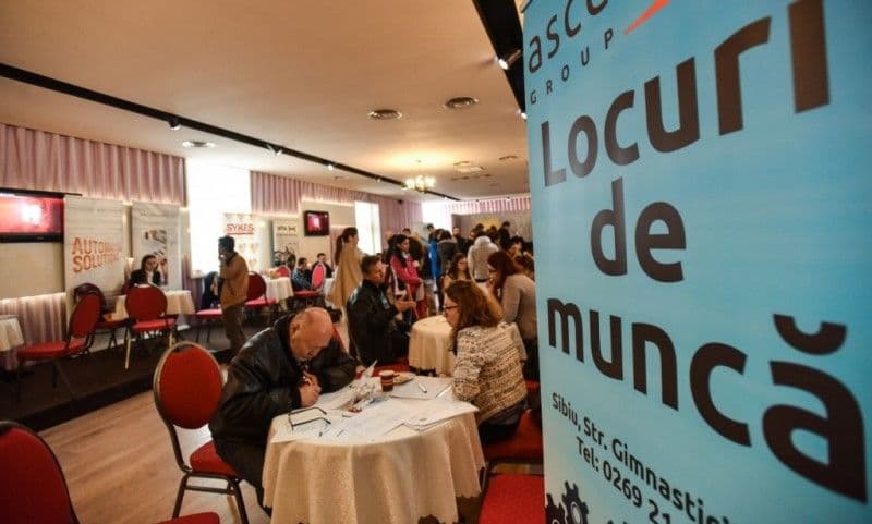 AJOFM Botoșani: Bursa locurilor de muncă pentru absolvenți