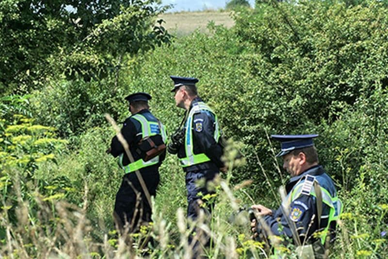 Doi bătrâni din Hudești și Hilișeu-Horia rătăciți în pădure. Atenție la locurile în care mergeți să culegeți ciuperci! 