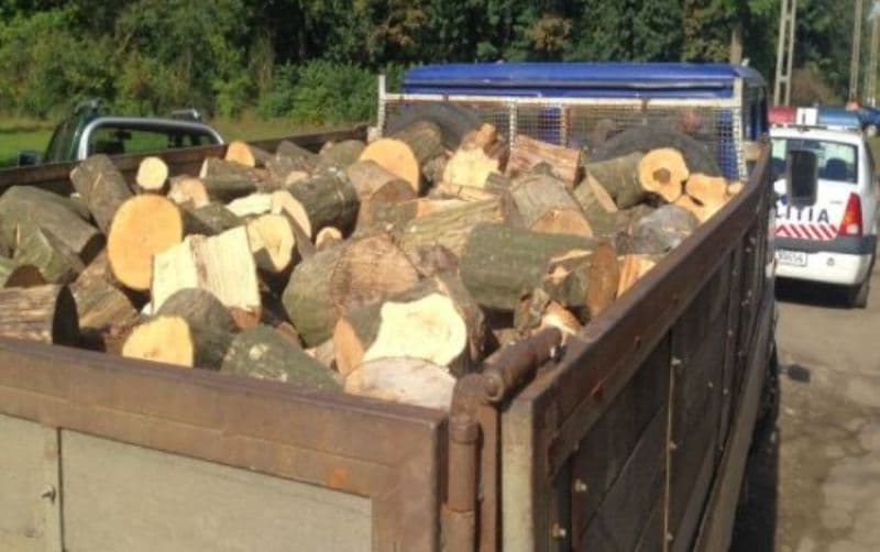 Două transporturi ilegale de lemn confiscate de polițiștii botoșăneni