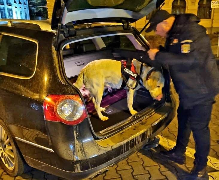 Botoșani: Acțiune a polițiștilor rutieri împreună cu polițiști de frontieră, însoțiți de câine polițist