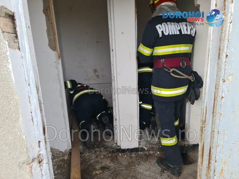 Pompierii dorohoieni din nou eroi pentru necuvântătoare: Câine salvat dintr-un grup sanitar dezafectat - FOTO