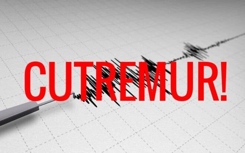Reguli de comportare în cazul producerii unui cutremur