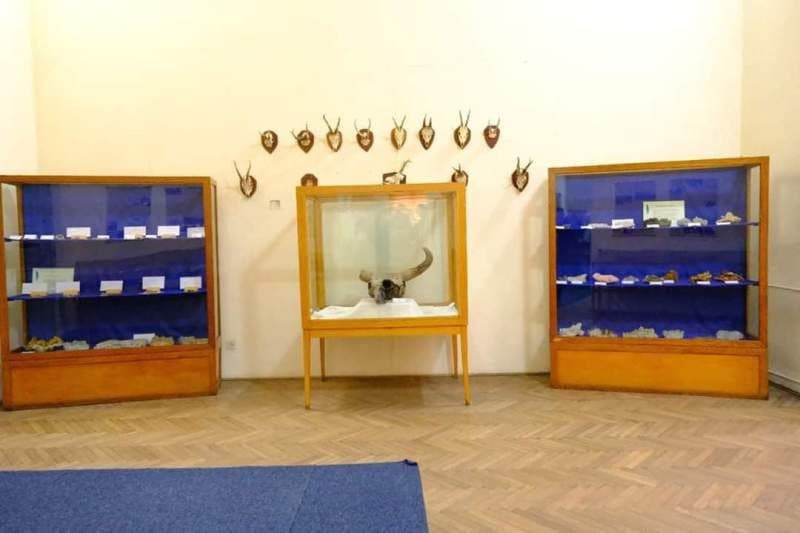 proiect Muzeul Științele Naturii Dorohoi_8
