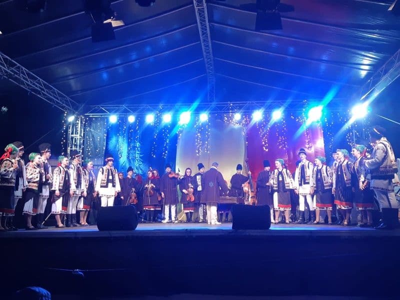 Mugurelul Margineanca la Braila_011