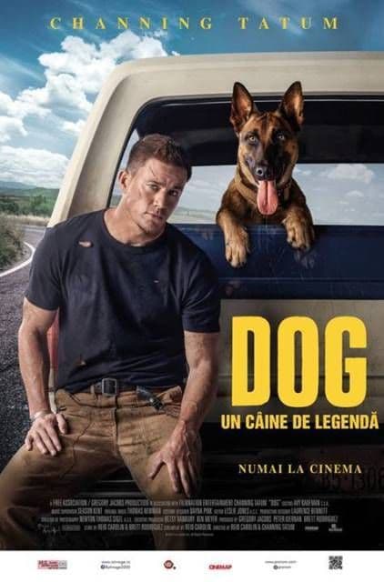 dog
