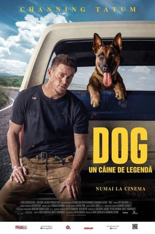 dog