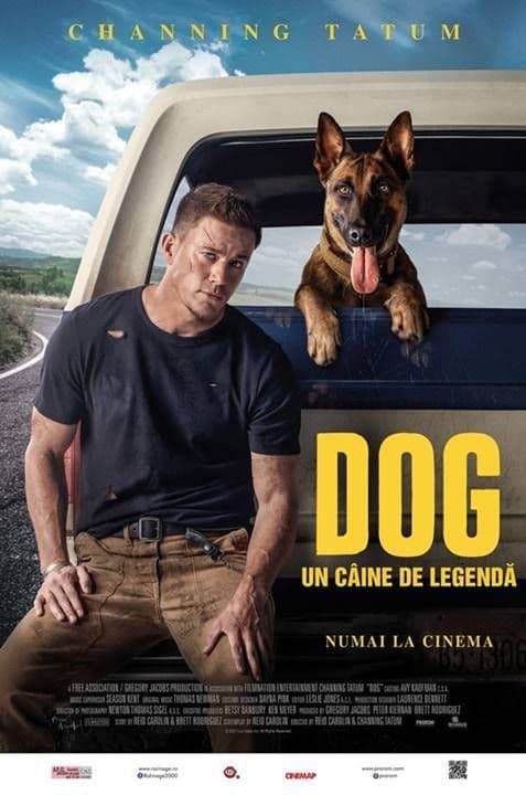 dog