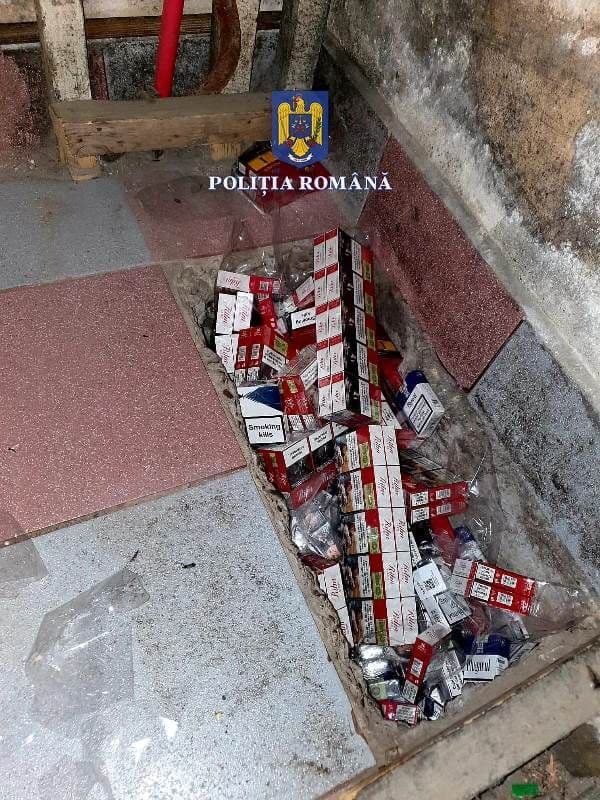 Perchezitii_3