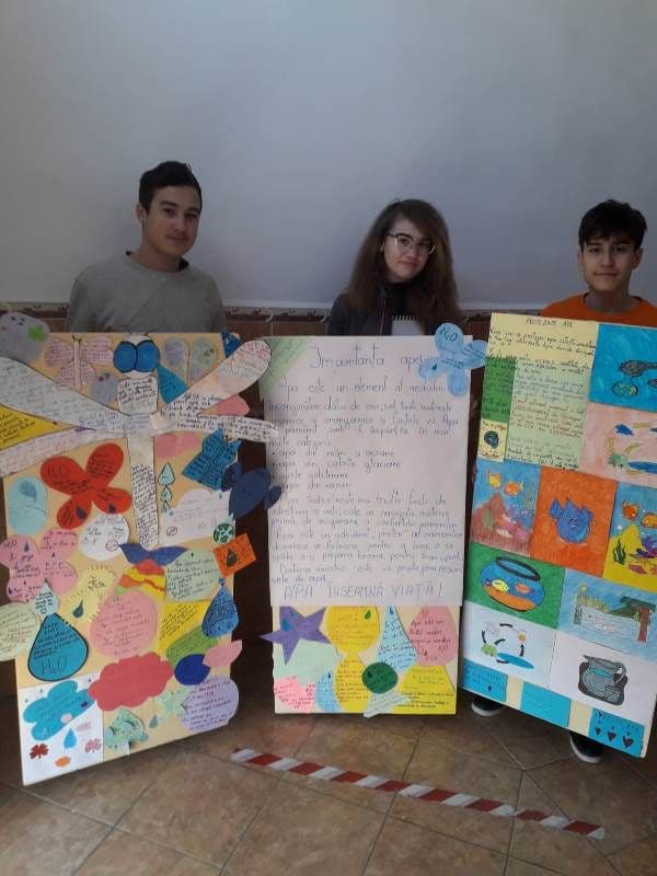 Apa in viata noastra_ (4)
