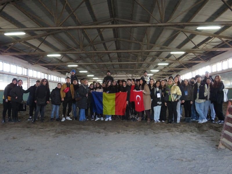 erasmus 11