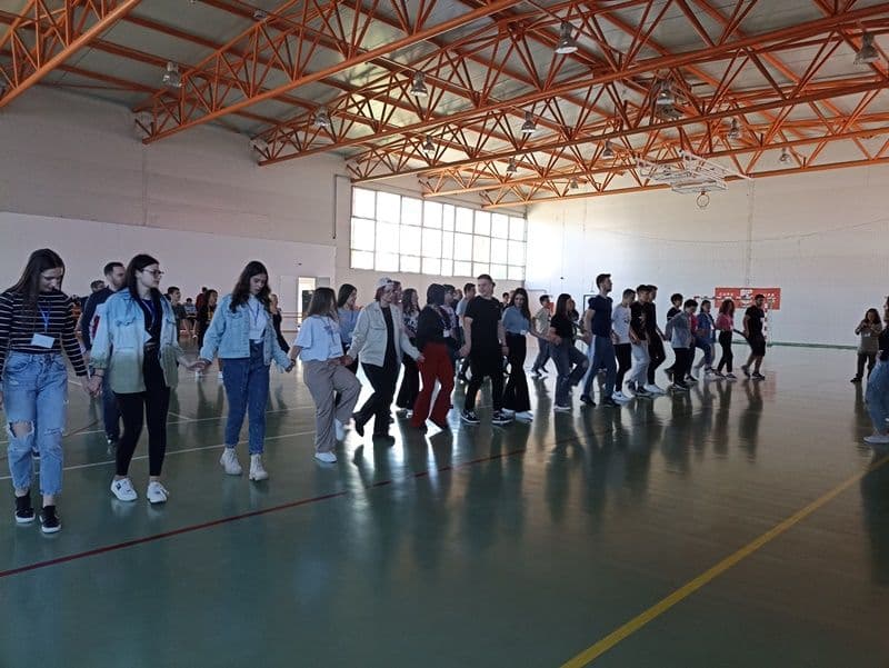 Proiecte Erasmus Regina Maria Dorohoi_02