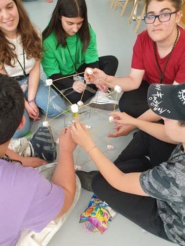 erasmus 12