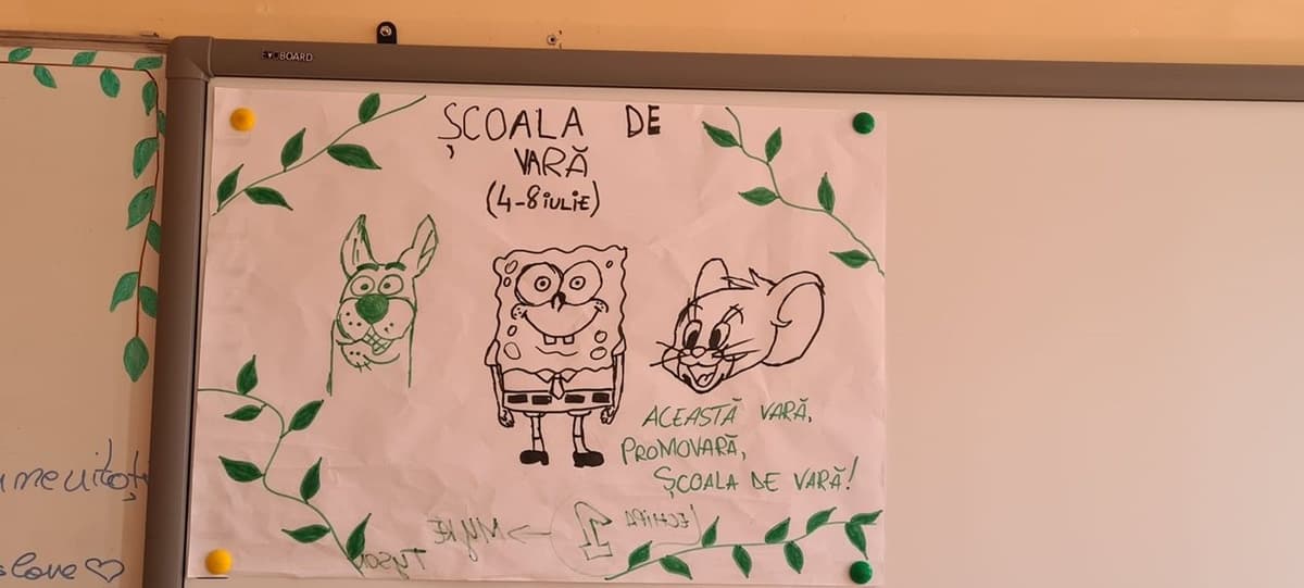 vacanta 03