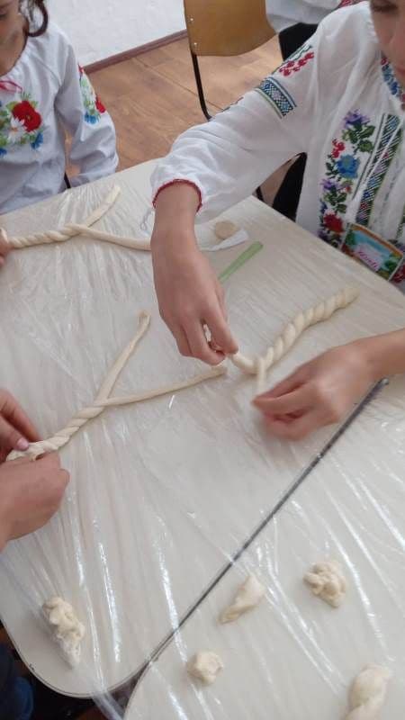Activitate Comanesti (2)