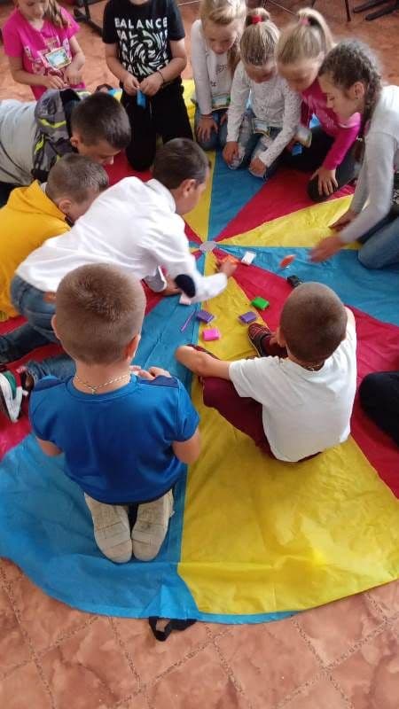 Activitate Comanesti (4)