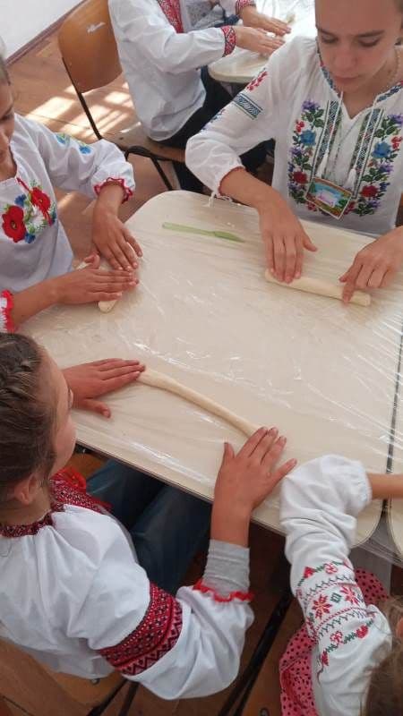 Activitate Comanesti (10)