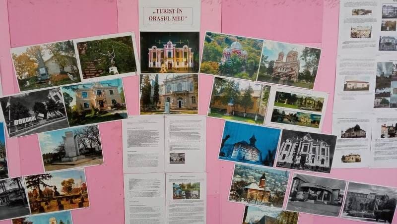 Proiect (13)