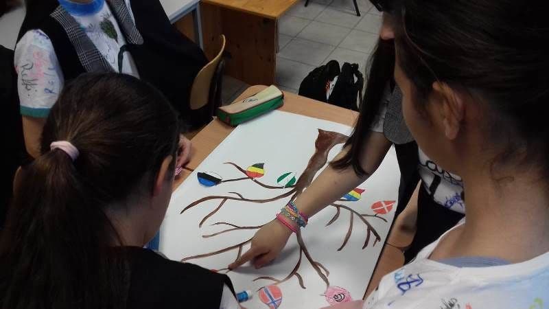 SEG (15)