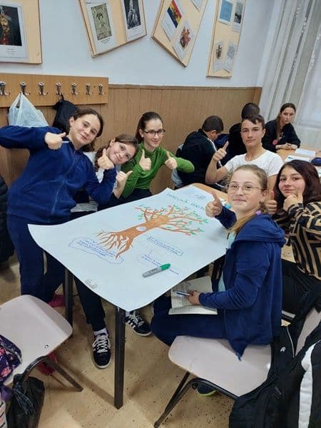 activitate 14