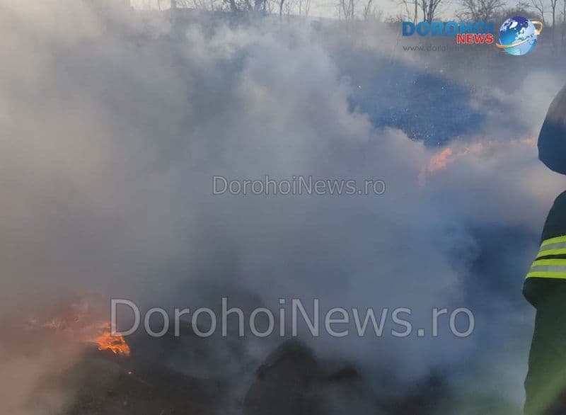 Incendiu Vlasinesti_03