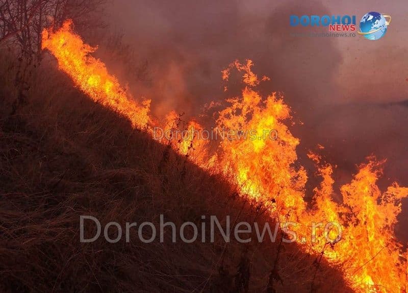 Incendiu Vaculesti_02