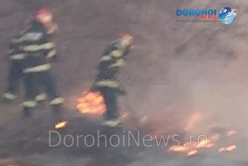 Incendiu Vaculesti_04