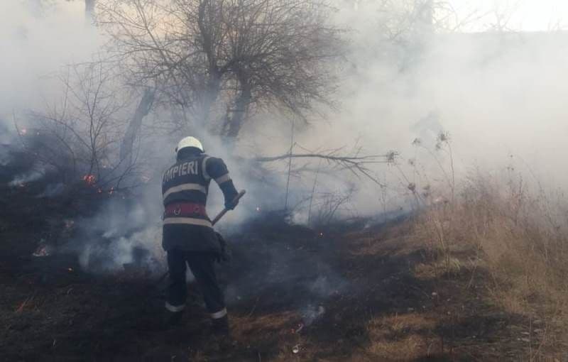 Incendiu vegetatie_4