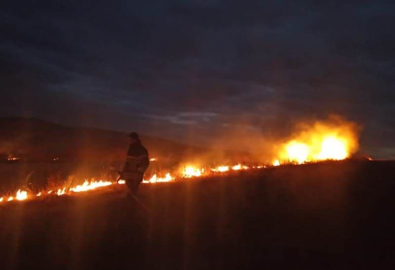 Incendiu vegetatie_3