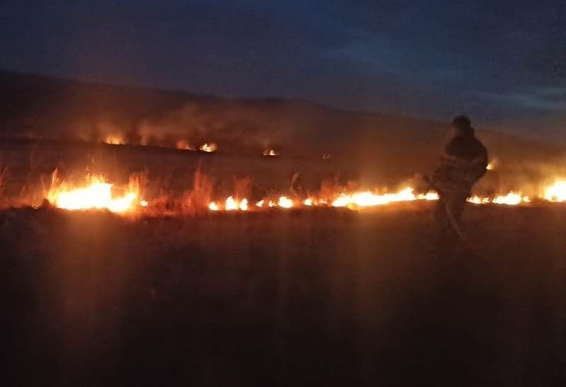 Incendiu vegetatie_1